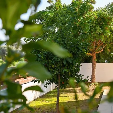 Merope Irena 2 Villa